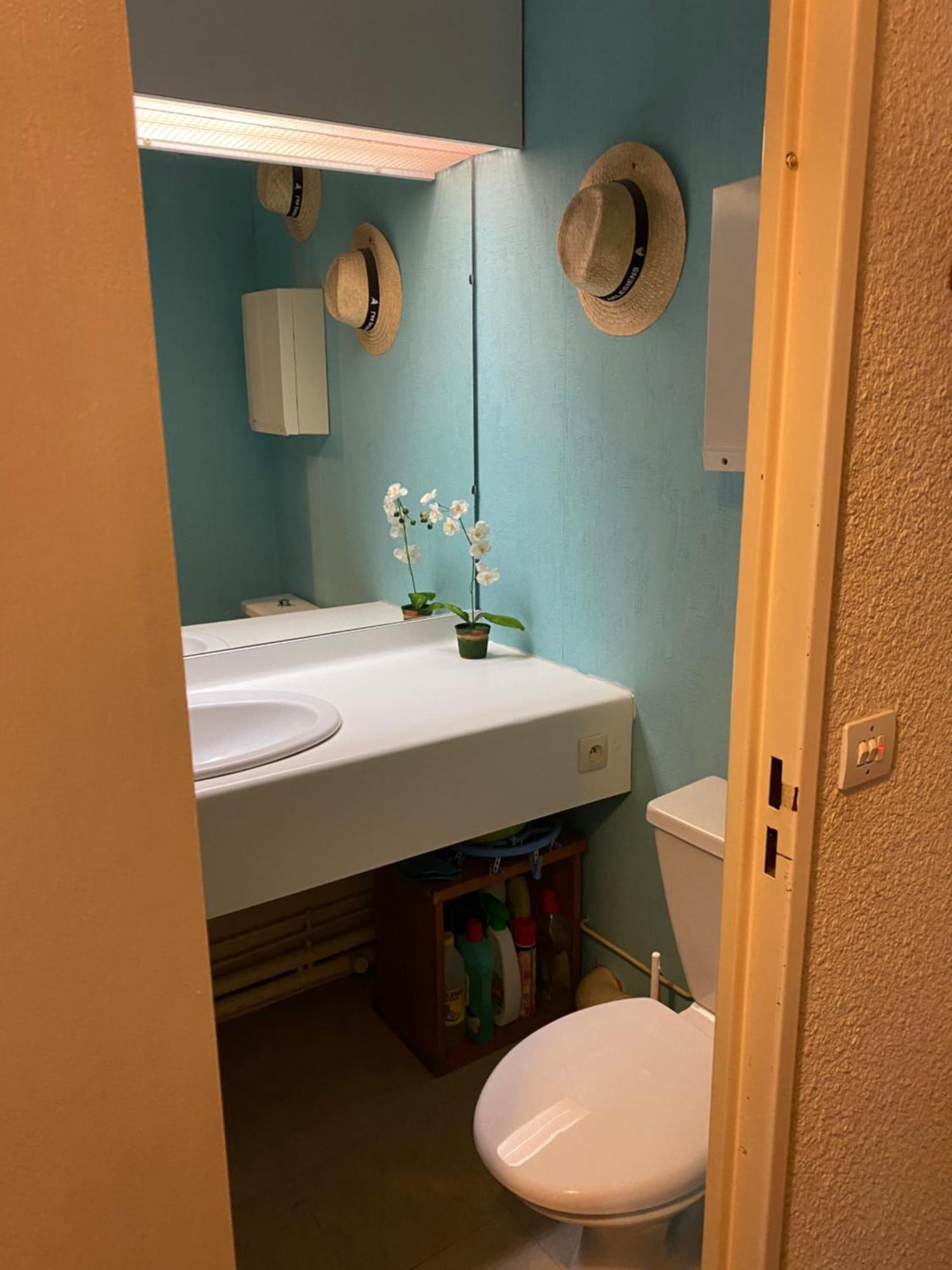 Jolie 4 Couchages Puy-Saint-Vincent